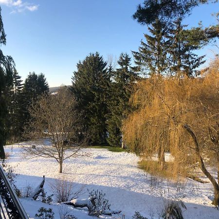 Ferienhaus Haagalm Primstal 外观 照片